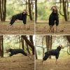 PAWBOSE Waterproof Dog Raincoat Adjustable Builtin Harness-3