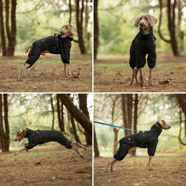 PAWBOSE Waterproof Dog Raincoat Adjustable Builtin Harness-3