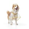 Dog Raincoat Ryandesign EVA Waterproof Yellow-4