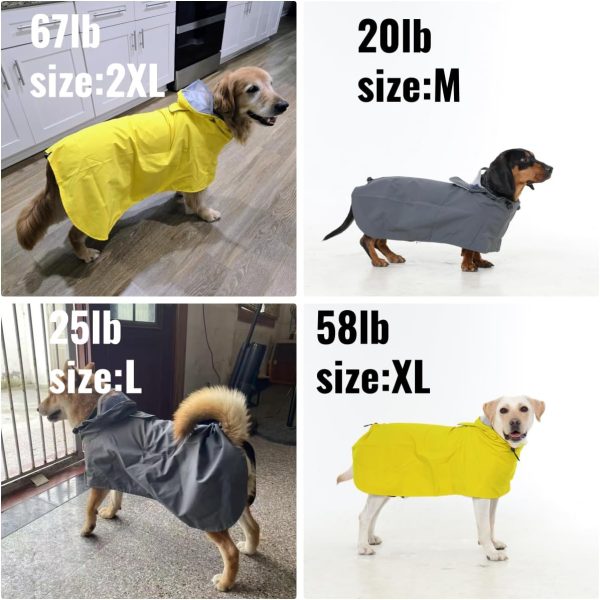 Dora Bridal Dog Raincoat Waterproof Windproof Reflective-4