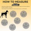 Dora Bridal Dog Raincoat Waterproof Windproof Reflective-1