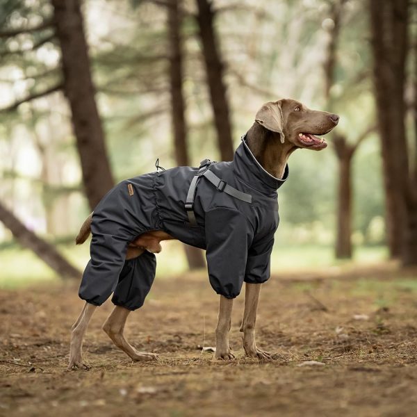 PAWBOSE Waterproof Dog Raincoat Adjustable Reflective Small-2