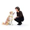 Dog Raincoat Ryandesign EVA Waterproof Yellow-8