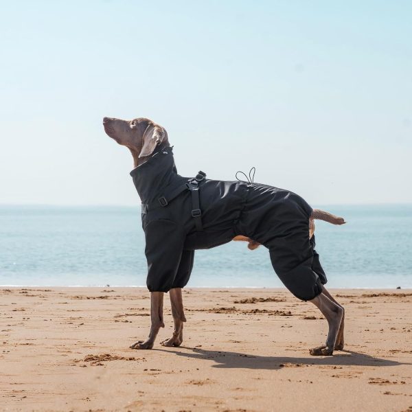 PAWBOSE Waterproof Dog Raincoat Adjustable Builtin Harness-4