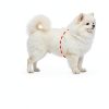 Dog Raincoat Ryandesign EVA Waterproof Yellow-6