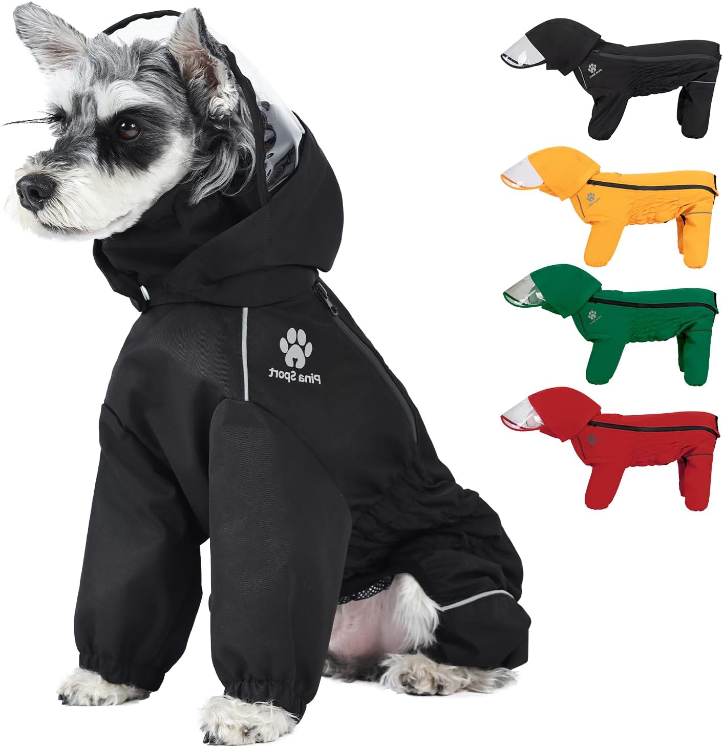 Dog wearing PINA raincoat on a rainy trail