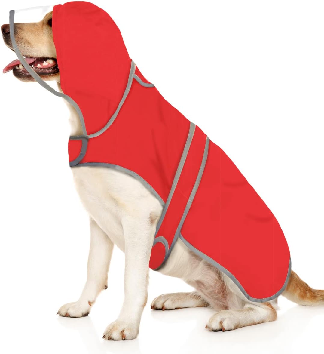 HDE dog raincoat on a wet park trail