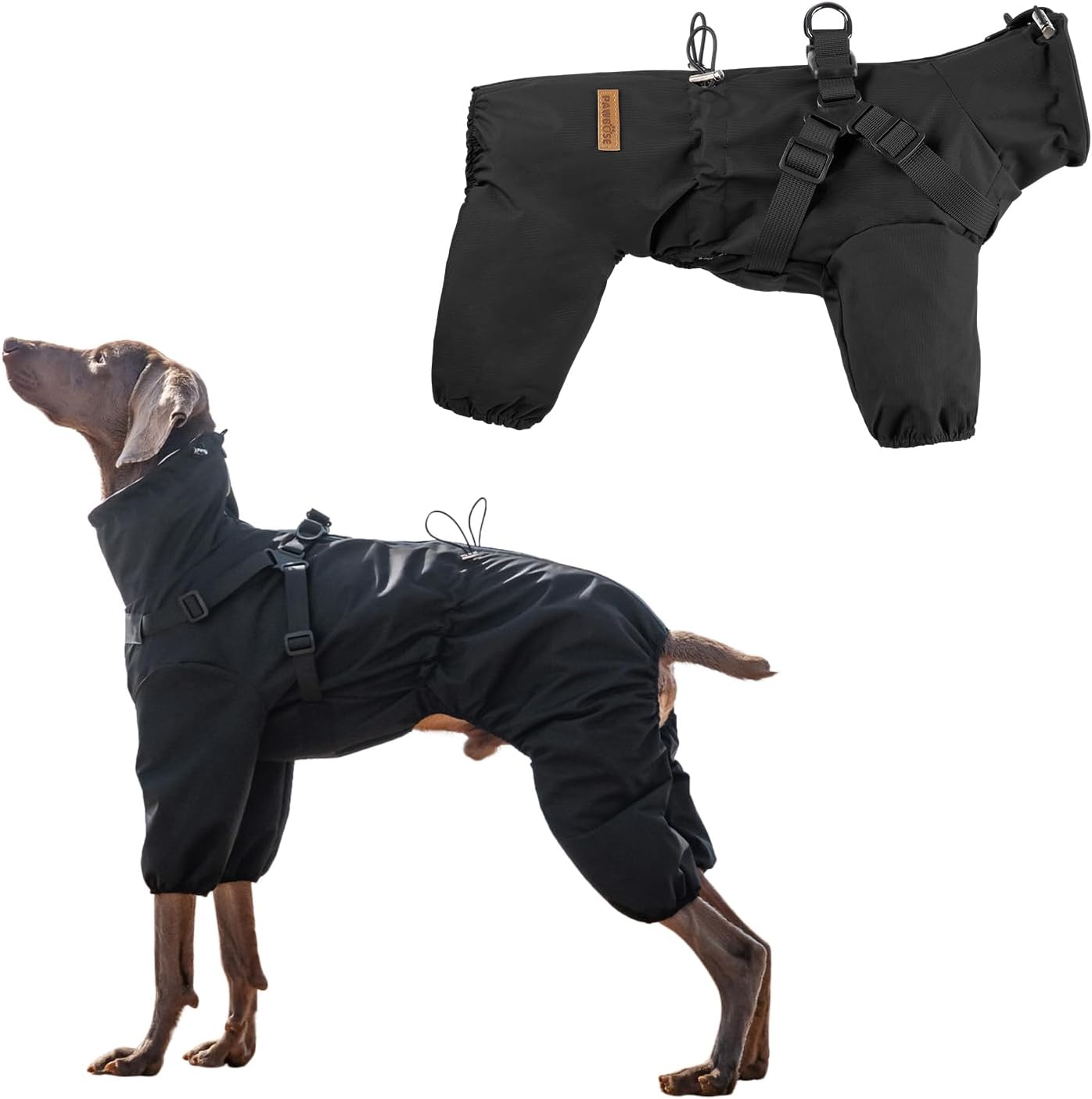 PAWBOSE dog raincoat in black color on a small dog