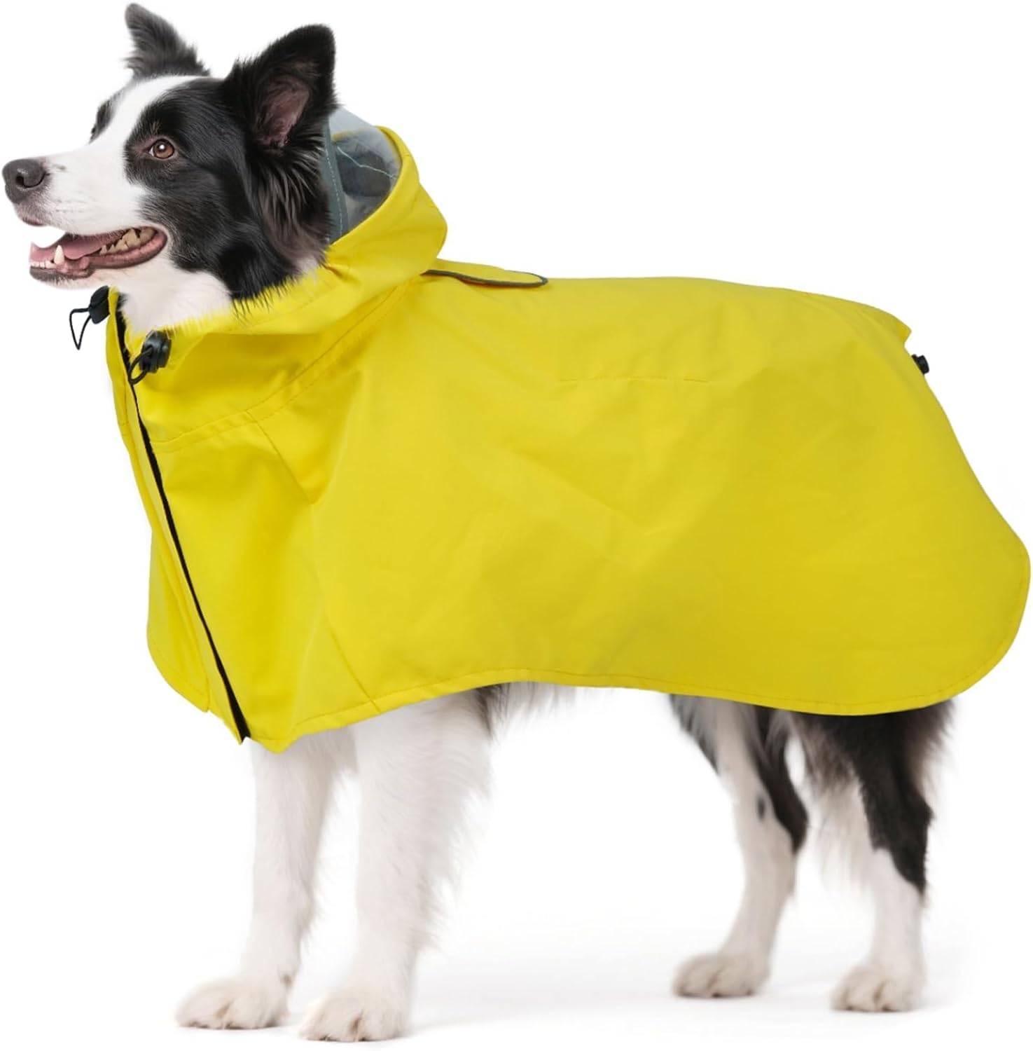 Dora Bridal dog raincoat in yellow on a German Shepherd during a rainy walk