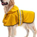 Bisen Dog Raincoat Waterproof Reflective Pet Rain Jacket-0