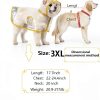 Dog Raincoat Ryandesign EVA Waterproof Yellow-7