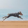 PAWBOSE Waterproof Dog Raincoat Adjustable Reflective Small-4