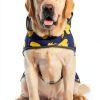 HAPPIERE Dog Raincoat Waterproof Adjustable Hooded Jacket-1